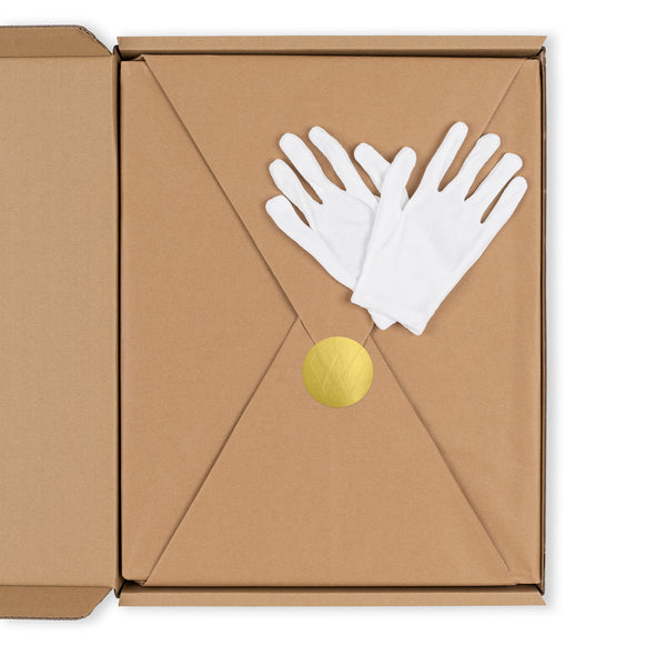 "NANCY SINATRA: ONE FOR YOUR DREAMS" Collector's Edition | Silver Clamshell Case | Interior Package & Gloves