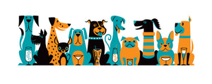 "Dog Meet I" Fine Art Print | Orange & Turquoise Edition | Shag (Josh Agle) | The Shag Store